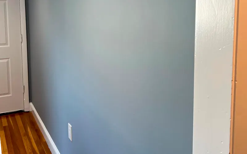 Antonelly Pro Painters project 5